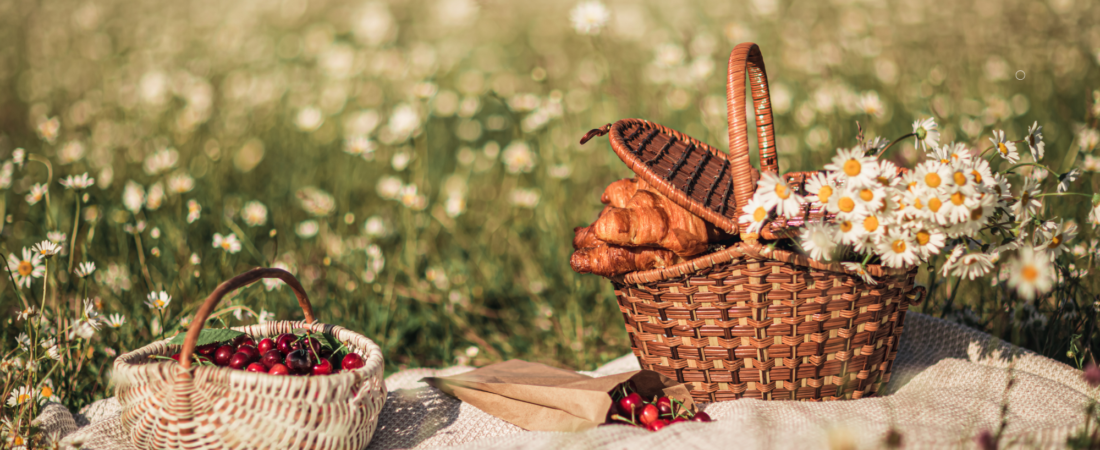Summer Picnic Essentials for a Dreamy Day with the Girls