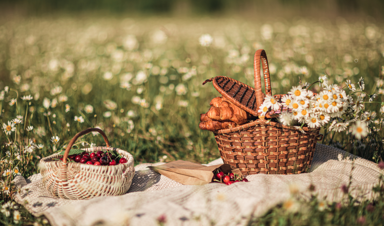 Summer Picnic Essentials for a Dreamy Day with the Girls