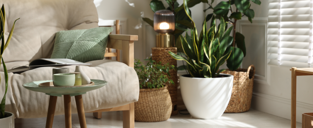 Refresh Your Space for Spring & Summer with These Decorative Pillows